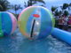 Bola de passeio da água inflável cor-de-rosa grande da associação de água para adultos/bola rolamento da água fornecedor