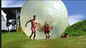 Os jogos exteriores infláveis dos adultos Waterproof a bola de Zorbing do corpo para a grama fornecedor